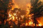 По состоянию на конец августа в Николаевской области зафиксировано 30 лесных пожаров