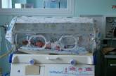 Областной детской больнице подарили кювез, который спасет жизни многих новорожденных