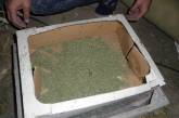 На Николаевщине дома у местного жителя нашли полкило наркотического "зелья"