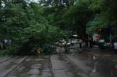 После обрушившегося на центр Николаева ливня,  набухшие от воды деревья падали, обрывая высоковольтные линии электропередач