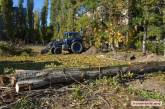 В Николаеве конфликт из-за забора: школьное ограждение ставят на придомовой территории, уничтожены деревья