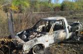 На Николаевщине угнанный автомобиль нашли сожженным в лесополосе