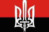 "Правый сектор" Первомайска требует не допустить суда Линча и завершить дела в отношении мэра Дромашко