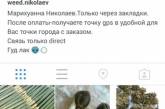 Николаевские наркоторговцы продают марихуану в... Instagram