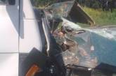 ВАЗ вылетел на встречную полосу и столкнулся с грузовиком. В аварии погибли водитель и пассажир (фото 18+)