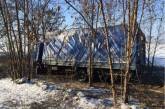 В Николаевской области грузовик вылетела с трассы в лесопосадку