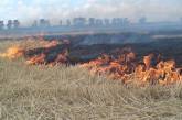 Подожженная трактористом стернь едва не стала причиной масштабного пожара на Николаевщине