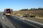 Под Первомайском разбился микроавтобус с возвращавшимися из Крыма отдыхающими (добавлено фото)