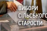 ЦИК назвал единственную партию, которая примет участие в выборах старост 17 апреля