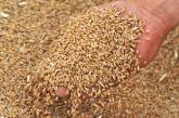Украина экспортировала более 30 миллионов тонн зерна