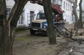 «Кронирование» деревьев по-николаевски: пилят возле детских садов, школ и на улицах города