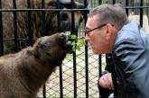 Николаевский зоопарк обзавелся первым в Украине экзотическим газелебыком. ФОТО