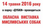 В Николаеве пройдет выставка охотничьих собак