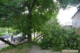 В Николаеве мужчина инициировал незаконную обрезку деревьев возле своего гаража: полиция задержала нарушителей