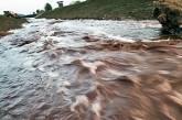 «Грязная вода» из Венгрии может дойти до Одессы через 11 дней 