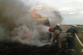 В Вознесенске загорелся микроавтобус: огонь перебросился на стерню