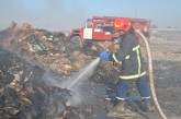 В Николаеве продолжается ликвидация пожара на городской свалке