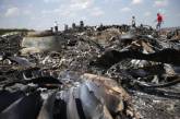Пять стран подтвердили намерение наказать виновных в сбитии MH17