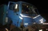 Под Новой Одессой столкнулись грузовики «Рено» и «КамАЗ»