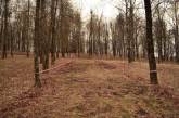  В лесополосе на Николаевщине найдено тело женщины, в руках которой было ружье