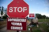 На въездах в Николаев начали устанавливать дезбарьеры, чтобы не пустить африканскую чуму свиней в город