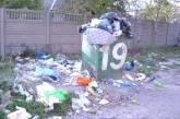 И выборы не помогли: Ленинский район завалило мусором