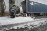 В Николаевской области на трассе загорелся грузовик 