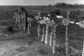 В селе откопали  останки человеческих костей и боеприпасы времен войны