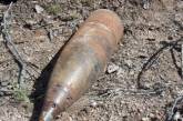 За один день в Николаевской области на полях найдено 4 артиллерийских снаряда и минометную мину