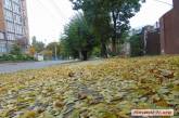 Николаев засыпает листьями: коммунальные службы ограничились уборкой Соборной