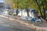 Ингульский район Николаева утопает в мусоре. ФОТО