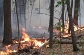 В Николаевской области участились пожары на открытых территориях