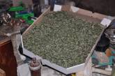 9 кг конопли на 300 тыс. грн. нашли правоохранители у жителя Николаевщины