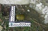 В центре Николаеве нашли боевую гранату без запала