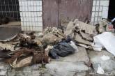 В квартире николаевского живодера нашли скелеты, шкуры, мясо животных и орудия пыток