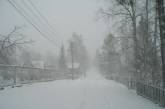 В Николаеве до конца недели прогнозируют снег, метель и гололедицу