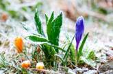 Синоптики предупреждают о заморозках в Украине 9-10 апреля