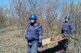 На Николаевщине пиротехники уничтожили артснаряд и авиабомбу