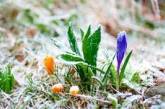 Украина может страдать от заморозков до 25 мая, — Гидрометцентр