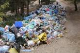 Во Львове накопилось более 7 тыс. тонн отходов, которые некуда вывозить