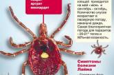 В Николаевской области с начала весны зафиксированы 3 случая заболевания болезнью Лайма