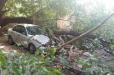 В Николаеве у стоматологии на автомобиль упало дерево