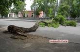 В Николаеве упавшее дерево полностью перекрыло проезд по ул. Чигрина