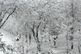 Снегопад к вечеру прекратится и вернется в Николаев уже в новом году
