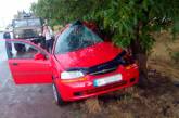 В Николаевской области водитель не справился с управлением из-за непогоды - один человек погиб, двое травмированы