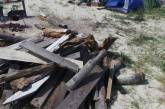 Страсти по разрушенному молодежному лагерю на Кинбурской Косе продолжают накаляться