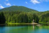 Лесные массивы Украины включили в список всемирного наследия ЮНЕСКО