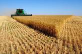 На Николаевщине собрали уже более миллиона тонн зерна
