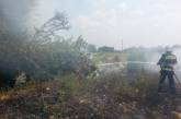 На Николаевщине за сутки зарегистрировано 23 пожара на открытой территории