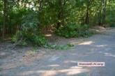 В николаевском парке «Победа» начали наводить порядок после резонансного изнасилования